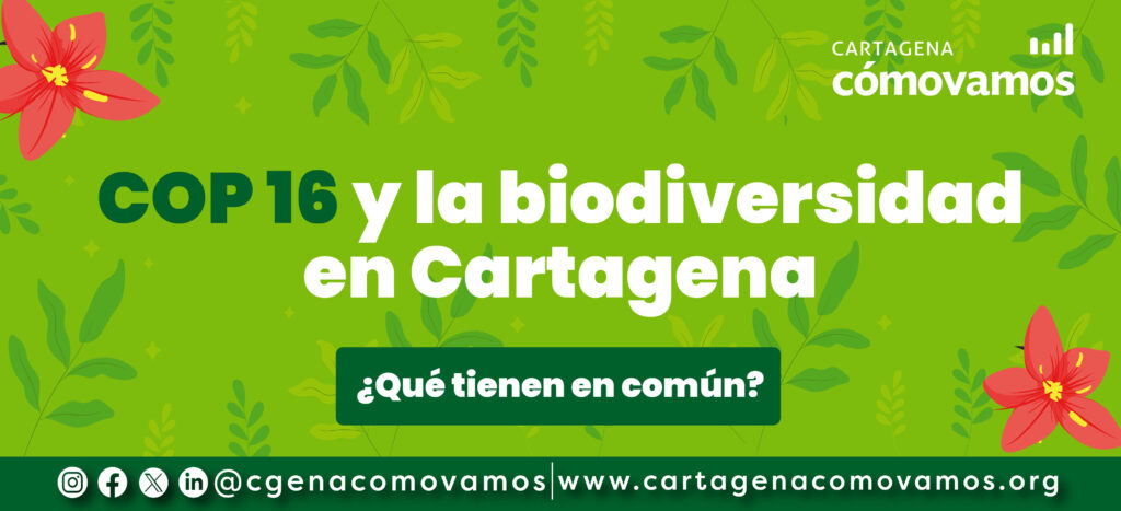 COP 16 y la biodiversidad en Cartagena, ¿qué tienen en común?