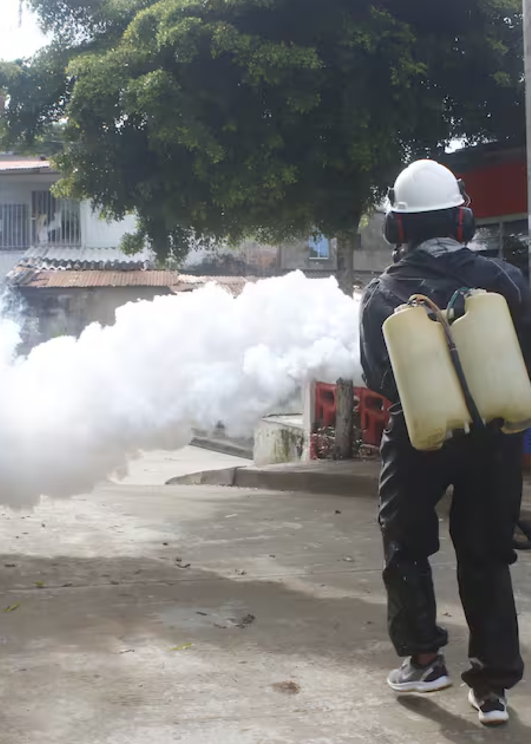 Dengue en Cartagena: casos se dispararon un 155% en 2024, mientras que la letalidad disminuyó 