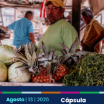 Cápsula: ¿Cómo estuvo el mercado laboral en Cartagena durante el primer semestre del 2026?